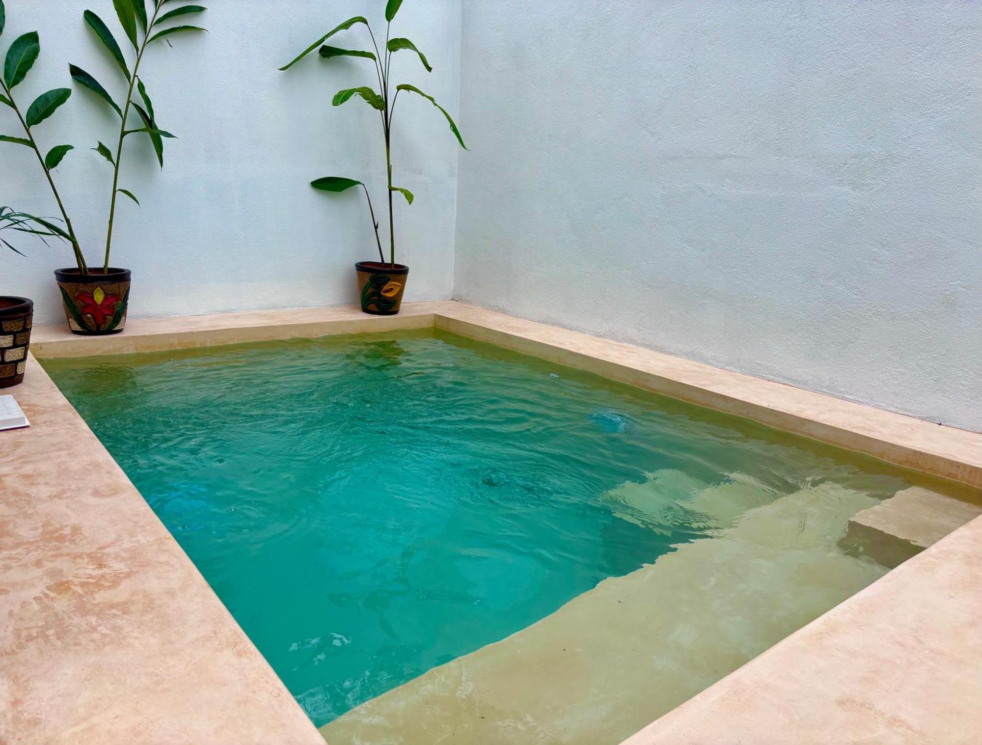 Excelente Alberca Privada En Residencial Privado, Gym, Asador Villa Ciudad Valles Luaran gambar