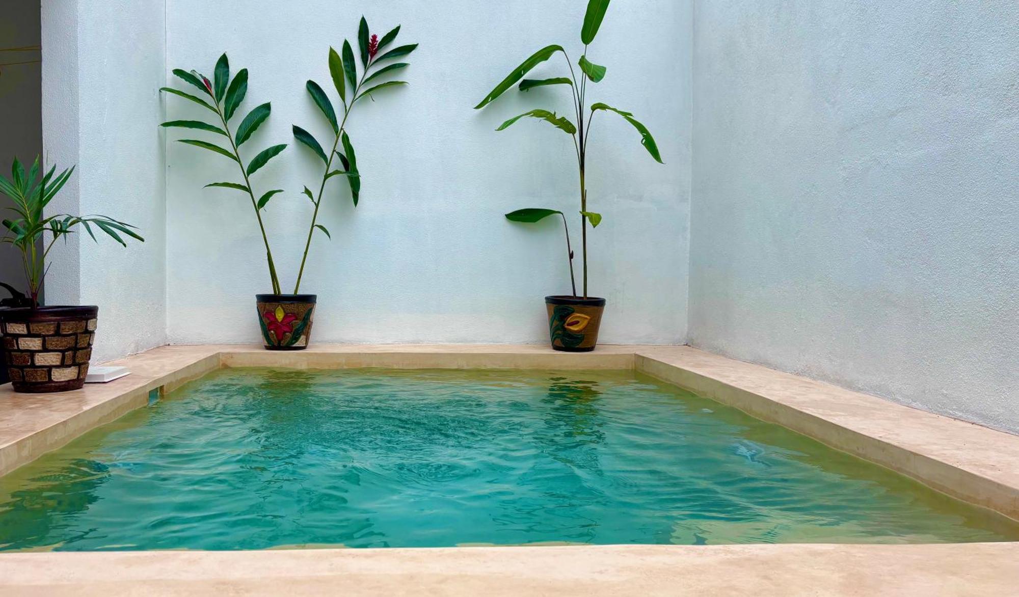 Excelente Alberca Privada En Residencial Privado, Gym, Asador Villa Ciudad Valles Luaran gambar