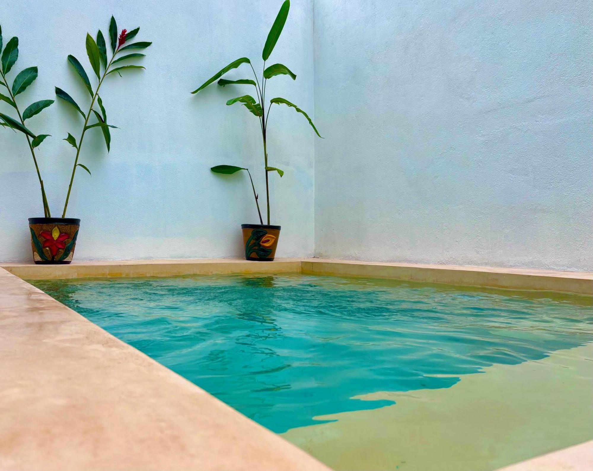 Excelente Alberca Privada En Residencial Privado, Gym, Asador Villa Ciudad Valles Luaran gambar